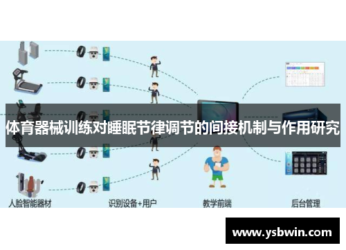 体育器械训练对睡眠节律调节的间接机制与作用研究